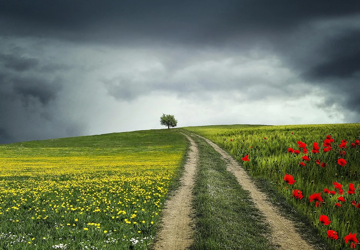Storm-Proofing Your Home: A 12-Point Checklist Before the Next Named Storm